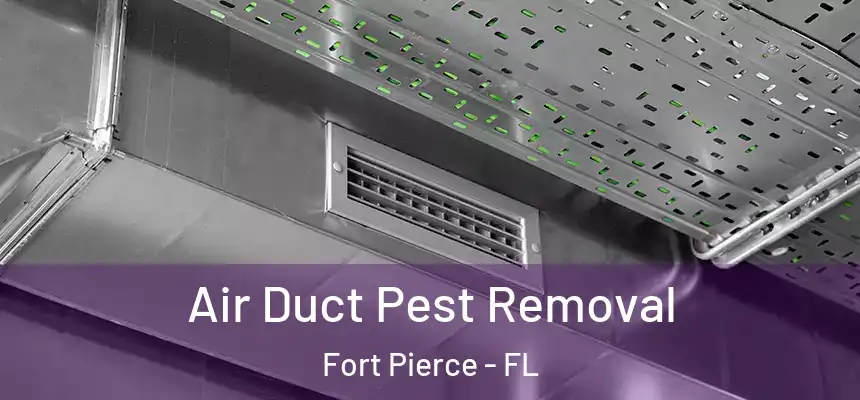  Air Duct Pest Removal Fort Pierce - FL