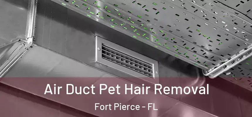 Air Duct Pet Hair Removal Fort Pierce - FL