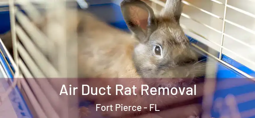  Air Duct Rat Removal Fort Pierce - FL