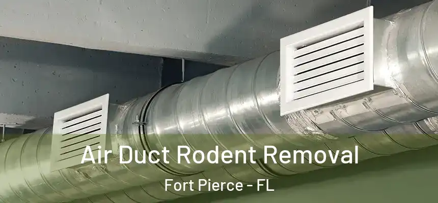  Air Duct Rodent Removal Fort Pierce - FL