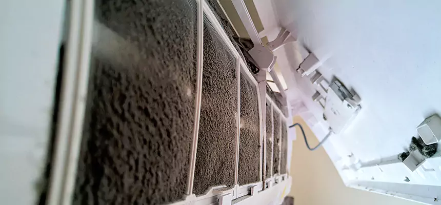 Preventive Air Duct Bacteria Removal in Fort Pierce