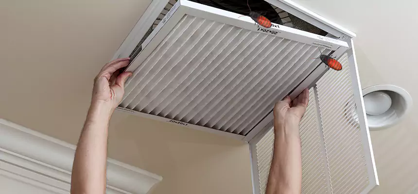 Preventive Cockroach-Proofing for Ducts in Fort Pierce