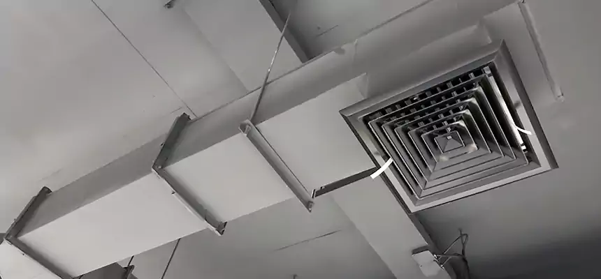 Our Rodent Droppings In Vents Services in Fort Pierce, FL