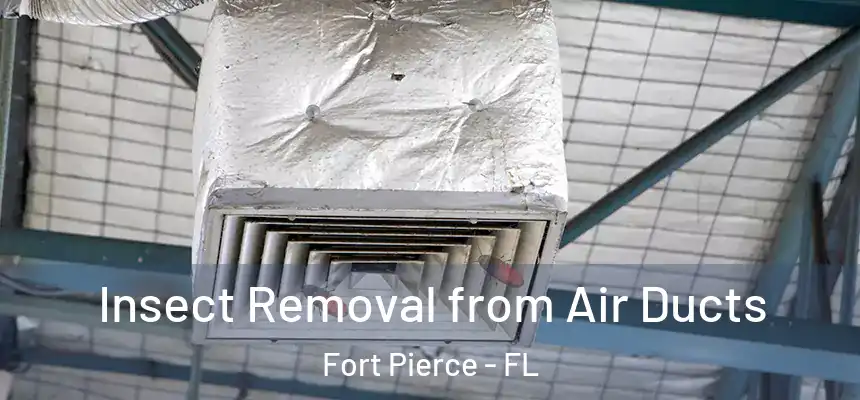 Insect Removal from Air Ducts Fort Pierce - FL