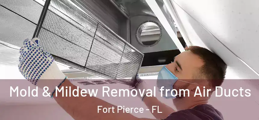  Mold & Mildew Removal from Air Ducts Fort Pierce - FL