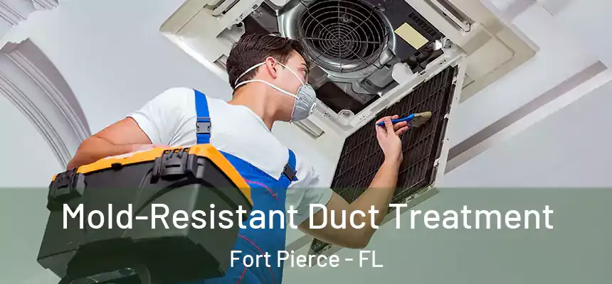 Mold-Resistant Duct Treatment Fort Pierce - FL