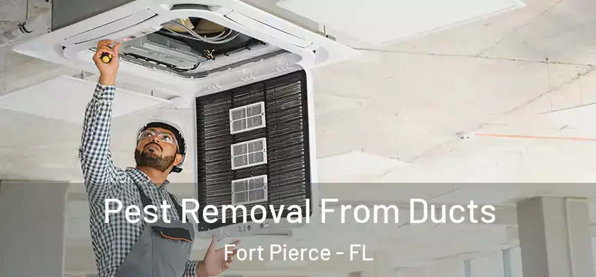 Pest Removal From Ducts Fort Pierce - FL