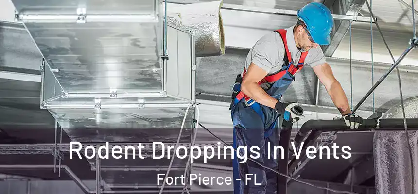 Rodent Droppings In Vents Fort Pierce - FL