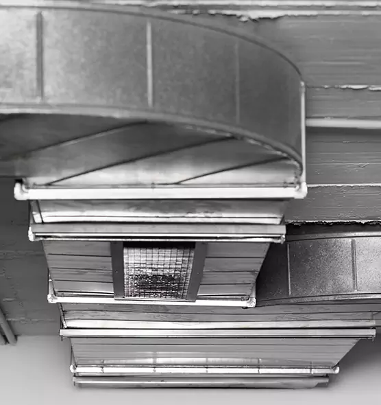 Professional Air Duct Pet Hair Removal in Fort Pierce, FL