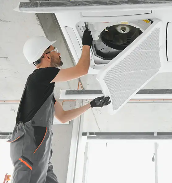 About Air Duct Rodent Removal in Fort Pierce, FL