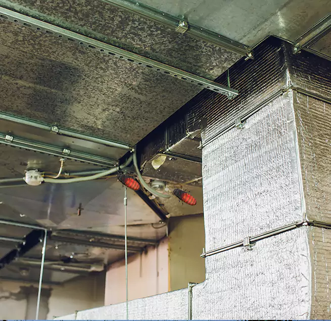 Why Homeowners & Businesses Trust Us in Fort Pierce, FL?