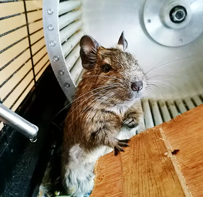 Why Homeowners & Businesses Trust Us Fort Pierce, FL